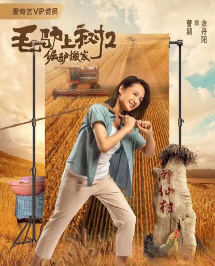 亚洲黄色在线看